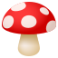 Mushroom :mushroom: 🍄